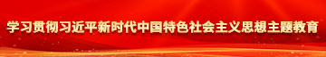 性爱抽插免费网站学习贯彻习近平新时代中国特色社会主义思想主题教育